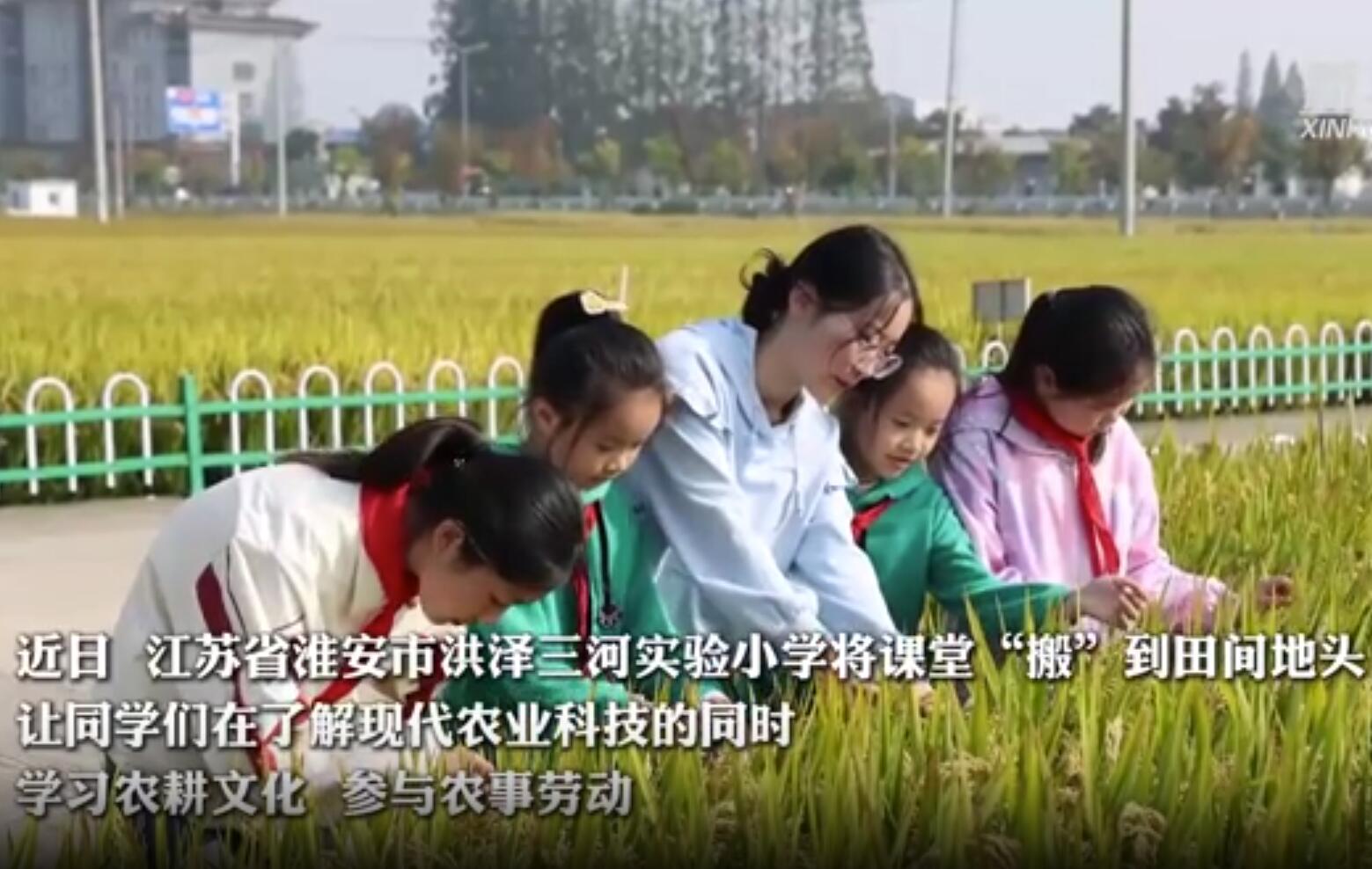 淮安：劳动课上在田间地头 助力学生“接地气”成长