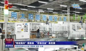 江苏淮安：“枢纽强关”提能级 “舒筋活血”助发展