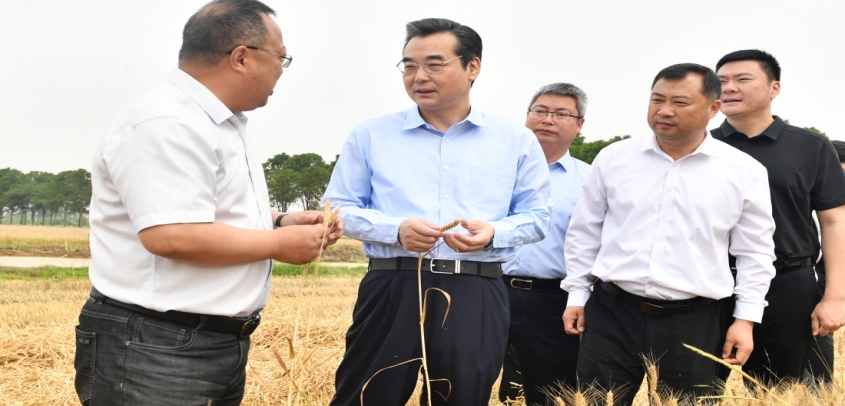 市委书记史志军调研夏收夏种工作