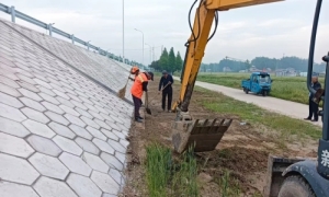 淮安市公路部门强化三举措做好“竹节草”台风防范应对工作